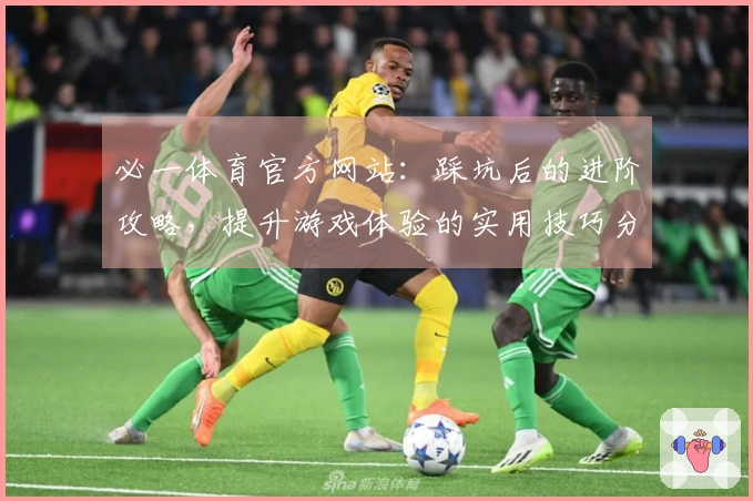 必一体育官方网站：踩坑后的进阶攻略，提升游戏体验的实用技巧分享